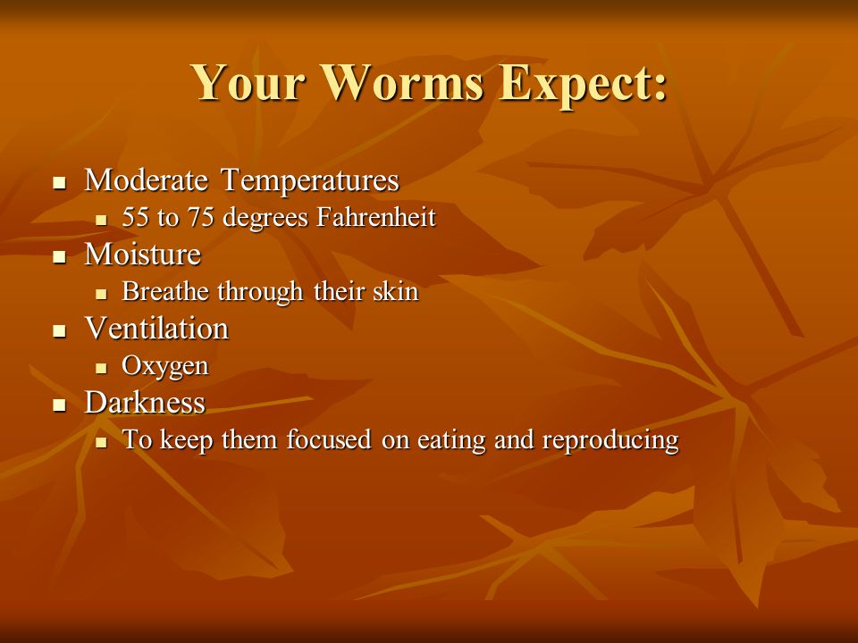 Your Worms Expect: Moderate Temperatures Moderate Temperatures 55 to 75 degrees Fahrenheit 55 to 75 degrees Fahrenheit Moisture Moisture Breathe through their skin Breathe through their skin Ventilation Ventilation Oxygen Oxygen Darkness Darkness To keep them focused on eating and reproducing To keep them focused on eating and reproducing