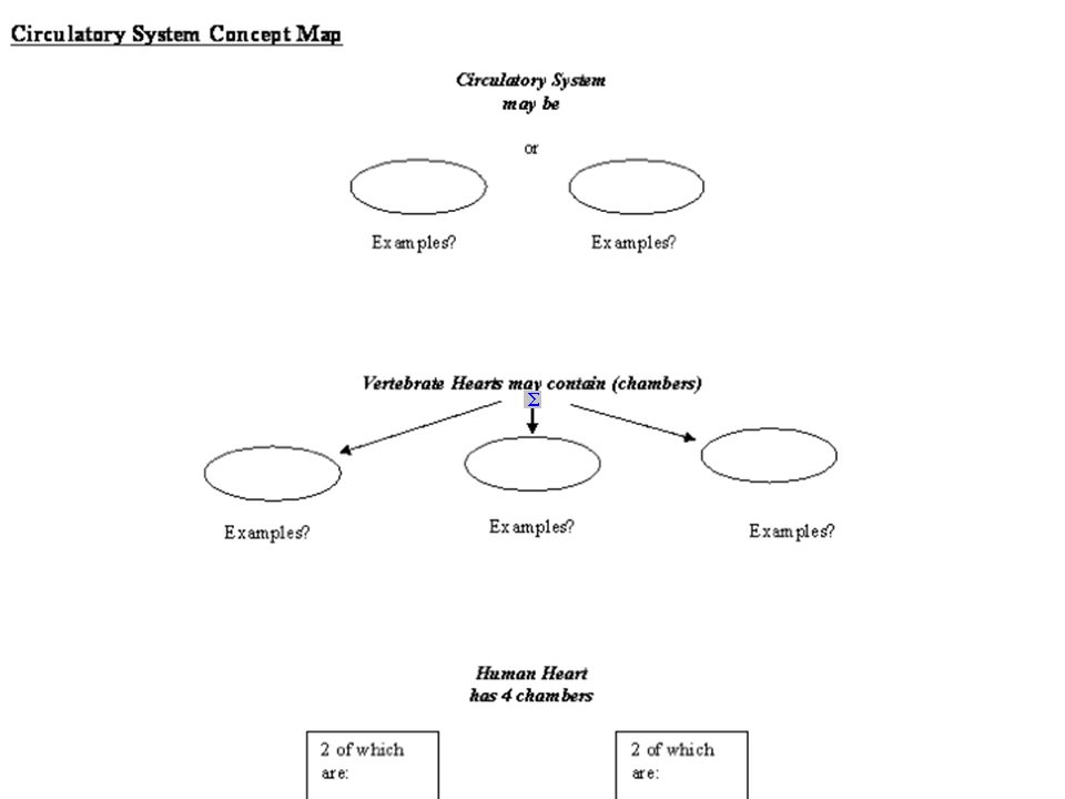 Intro To The Circulatory System Ppt Video Online Download