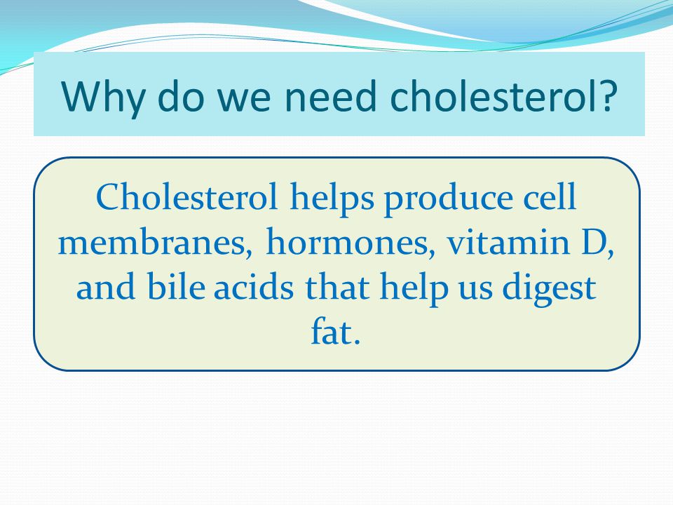 Why do we need cholesterol.