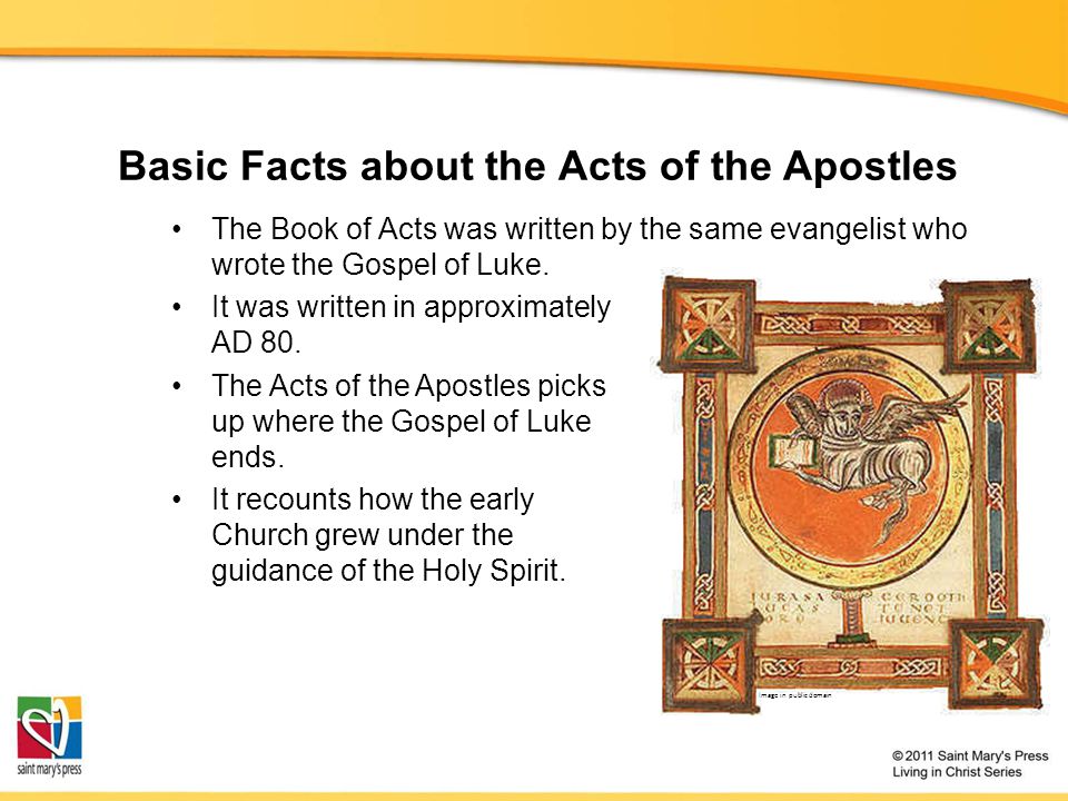 Basic Facts about the Acts of the Apostles The Book of Acts was written by the same evangelist who wrote the Gospel of Luke.