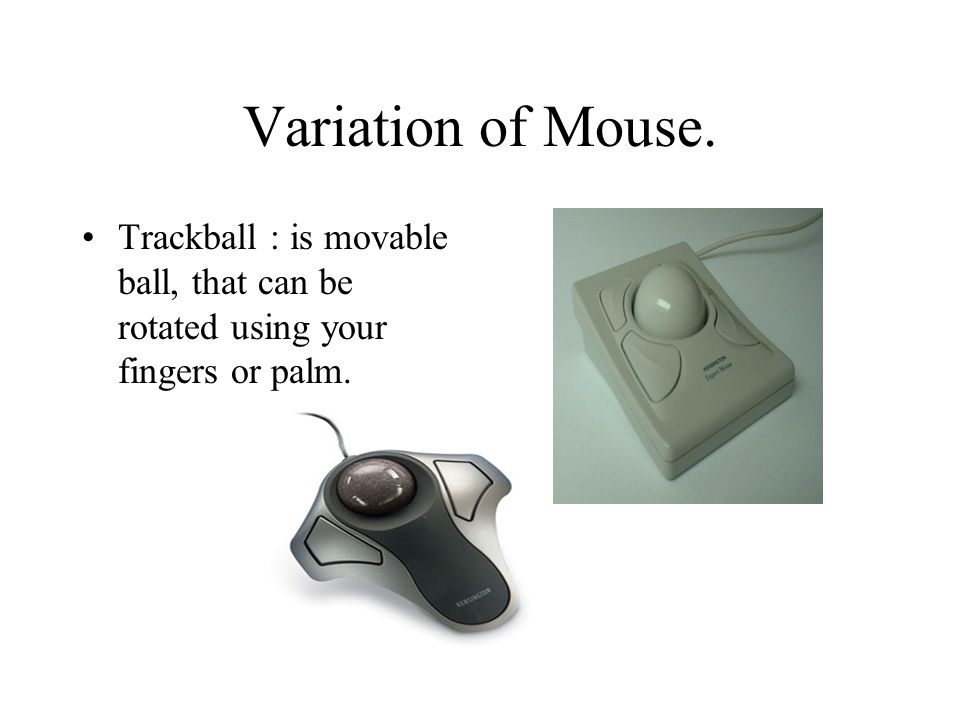 Variation of Mouse. Trackball : is movable ball, that can be rotated using your fingers or palm.