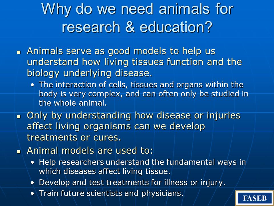 Using Animals in Research and Education. Table of Contents Why do we need  animal models for research and education? Why do we need animal models for  research. - ppt download