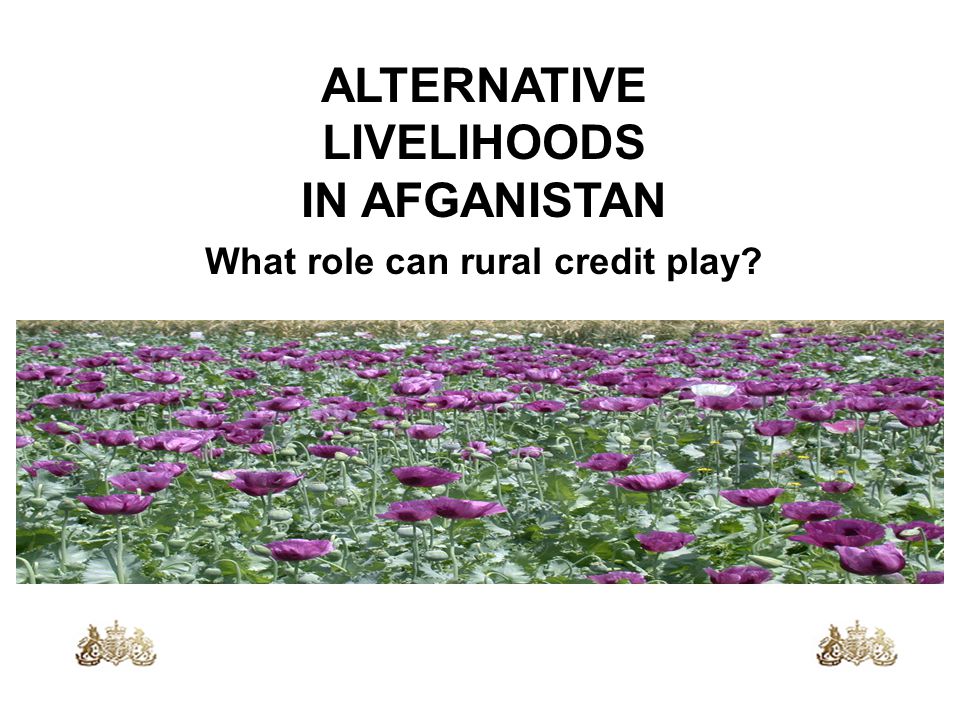 ALTERNATIVE LIVELIHOODS IN AFGANISTAN What role can rural credit play