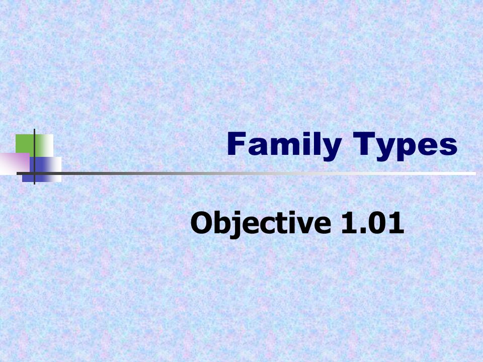 Family Types Objective 1.01