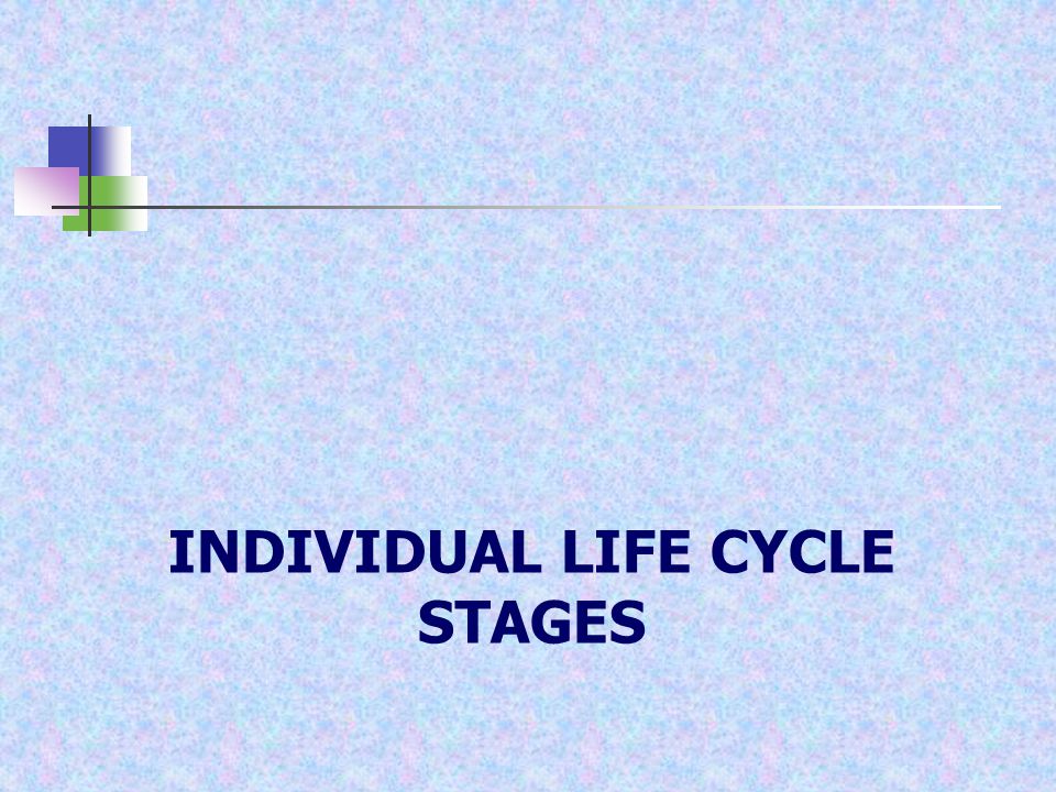 INDIVIDUAL LIFE CYCLE STAGES
