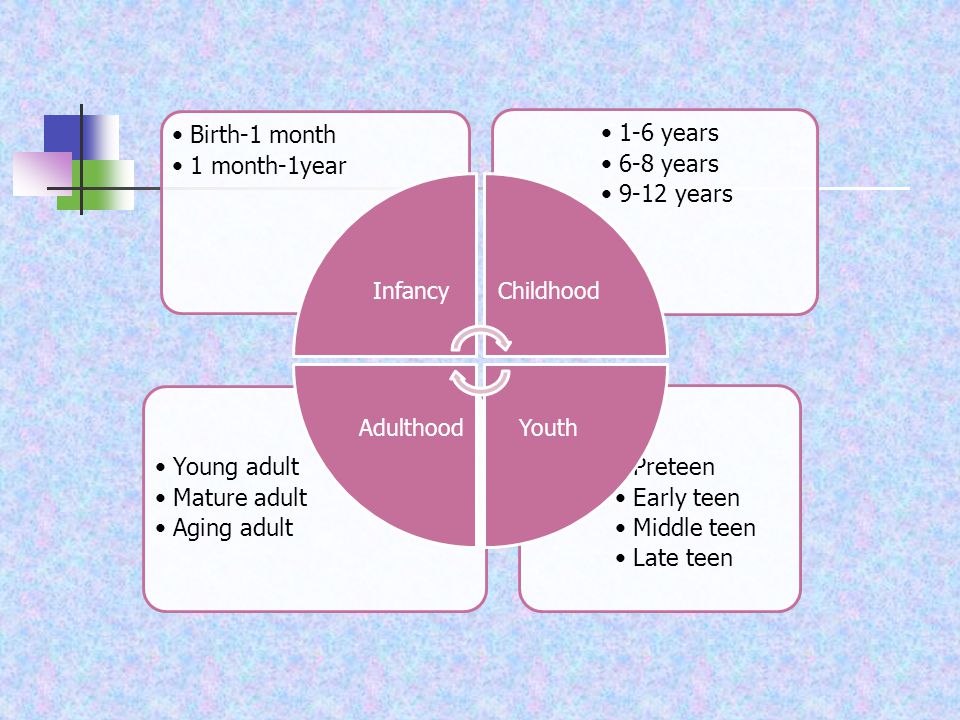 Preteen Early teen Middle teen Late teen Young adult Mature adult Aging adult 1-6 years 6-8 years 9-12 years Birth-1 month 1 month-1year InfancyChildhood YouthAdulthood