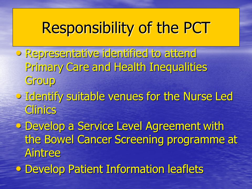 Responsibility of the PCT Representative identified to attend Primary Care and Health Inequalities Group Representative identified to attend Primary Care and Health Inequalities Group Identify suitable venues for the Nurse Led Clinics Identify suitable venues for the Nurse Led Clinics Develop a Service Level Agreement with the Bowel Cancer Screening programme at Aintree Develop a Service Level Agreement with the Bowel Cancer Screening programme at Aintree Develop Patient Information leaflets Develop Patient Information leaflets