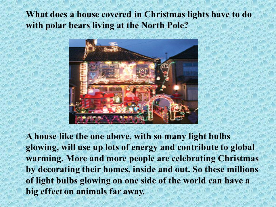 What does a house covered in Christmas lights have to do with polar bears living at the North Pole.