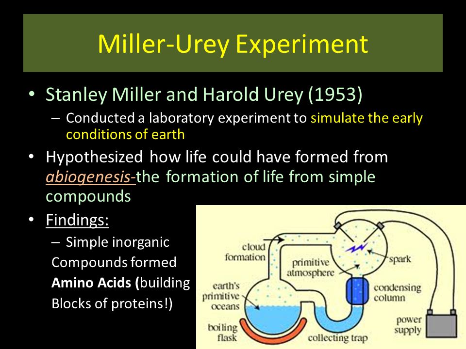 Topic VI: Evolution Origins of Life. Bellringer THINK-PAIR-SHARE What do  you think the difference is between a THEORY and a LAW? Think, for example,  the. - ppt download