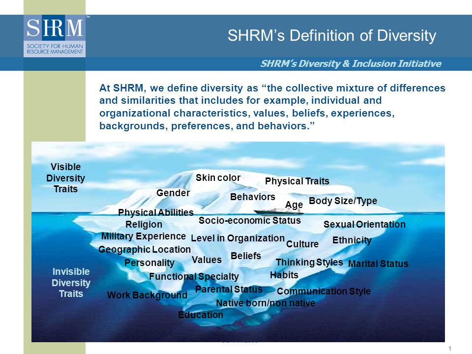 ©SHRM 2008 SHRM’s Diversity & Inclusion Initiative 1 SHRM’s Definition of Diversity Skin color Gender Age Education Socio-economic Status Ethnicity Native born/non native Geographic Location Military Experience Parental Status Habits Thinking Styles Work Background Religion Functional Specialty Communication Style Marital Status Beliefs Culture Values Behaviors Visible Diversity Traits Invisible Diversity Traits Physical Abilities Personality Level in Organization Sexual Orientation Body Size/Type At SHRM, we define diversity as the collective mixture of differences and similarities that includes for example, individual and organizational characteristics, values, beliefs, experiences, backgrounds, preferences, and behaviors. Physical Traits
