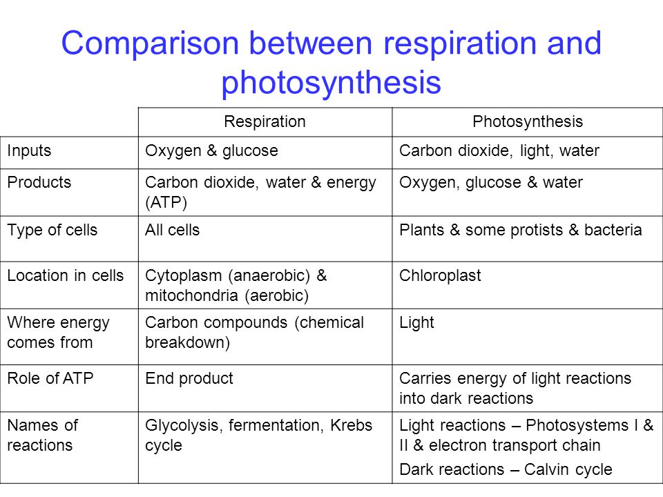 Compare на русском. Photosynthesis and respiration. Comparison Table of anaerobic and Aerobic respiration. Plant Cellular respiration diagram. Фотосинтез на английском языке.