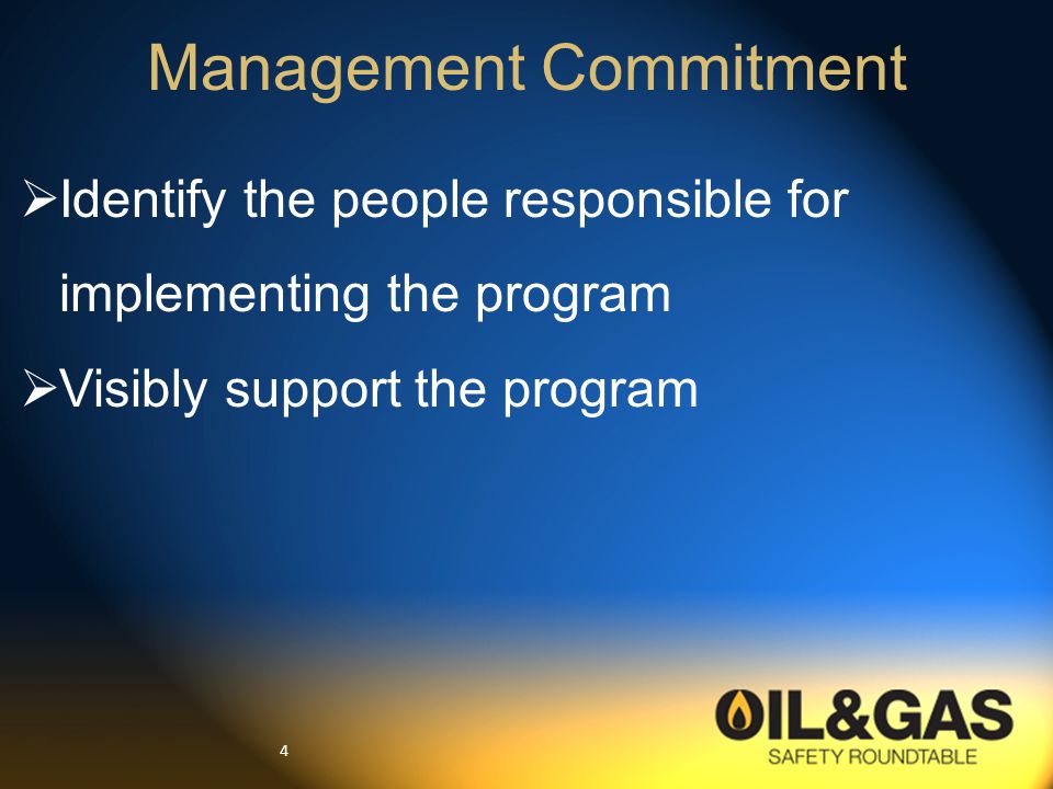 4  Identify the people responsible for implementing the program  Visibly support the program Management Commitment
