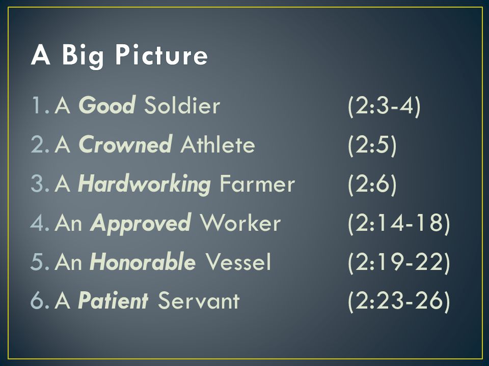 1.A Good Soldier(2:3-4) 2.A Crowned Athlete(2:5) 3.A Hardworking Farmer(2:6) 4.An Approved Worker(2:14-18) 5.An Honorable Vessel(2:19-22) 6.A Patient Servant(2:23-26)