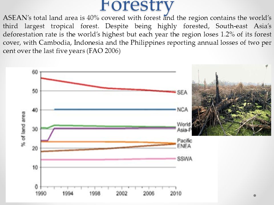 Forestry ASEAN’s total land area is 40% covered with forest and the region contains the world’s third largest tropical forest.