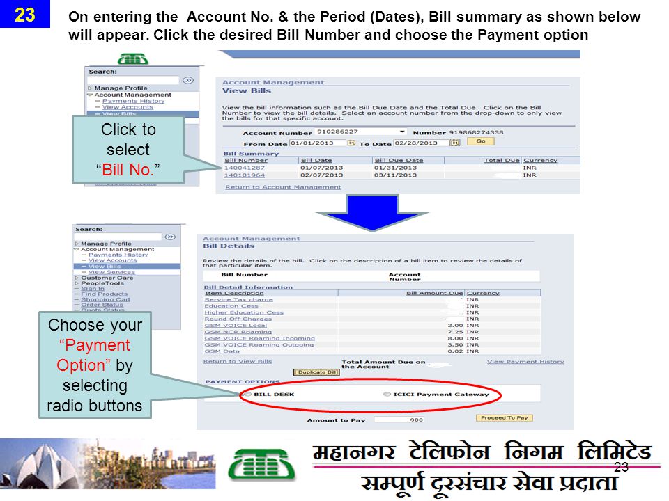 On entering the Account No. & the Period (Dates), Bill summary as shown below will appear.