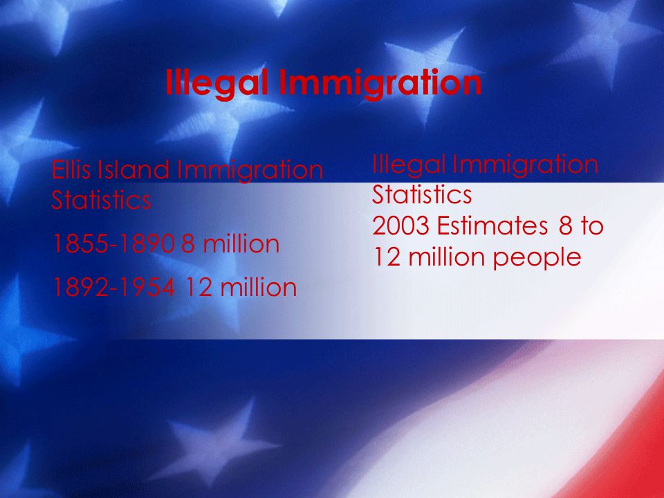 Illegal Immigration Ellis Island Immigration Statistics million million Illegal Immigration Statistics 2003 Estimates 8 to 12 million people