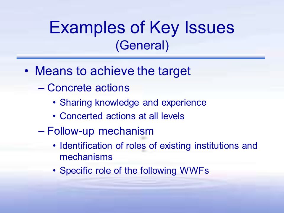 Examples of Key Issues (General) Means to achieve the target –Concrete actions Sharing knowledge and experience Concerted actions at all levels –Follow-up mechanism Identification of roles of existing institutions and mechanisms Specific role of the following WWFs