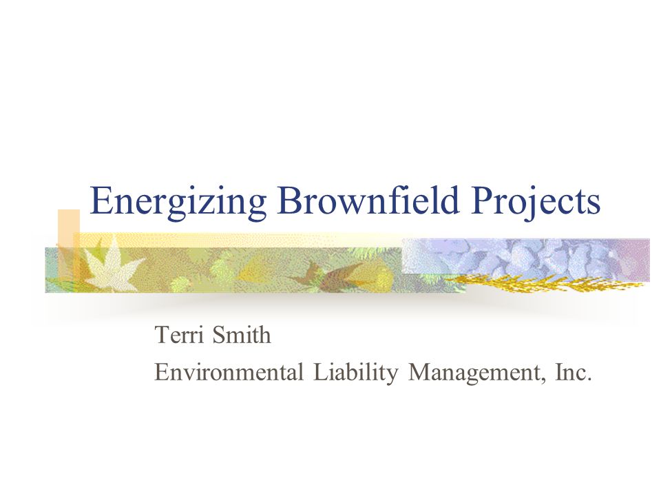 Energizing Brownfield Projects Terri Smith Environmental Liability Management, Inc.