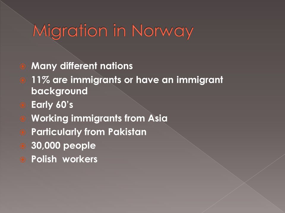  Many different nations  11% are immigrants or have an immigrant background  Early 60’s  Working immigrants from Asia  Particularly from Pakistan  30,000 people  Polish workers