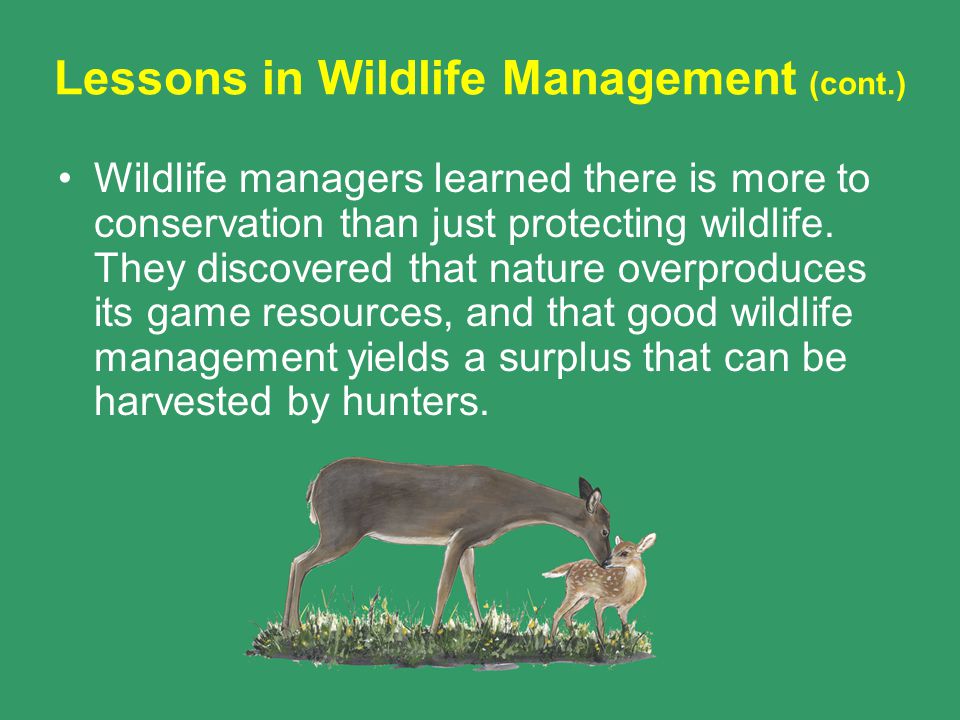 Wildlife Conservation & Management. Key Topics Wildlife Conservation  Management & Conservation Principles. - ppt download