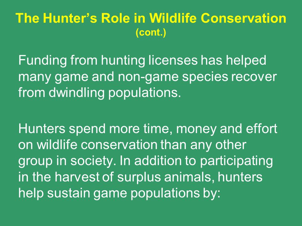 The Role of Hunting in Wildlife Conservation, Explained