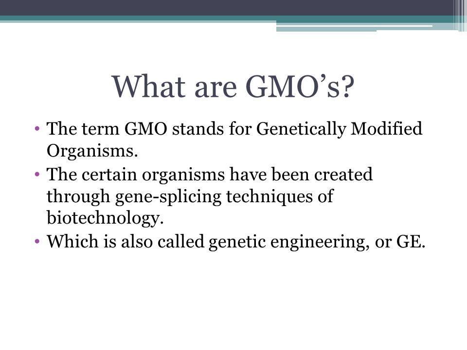 What are GMO’s. The term GMO stands for Genetically Modified Organisms.