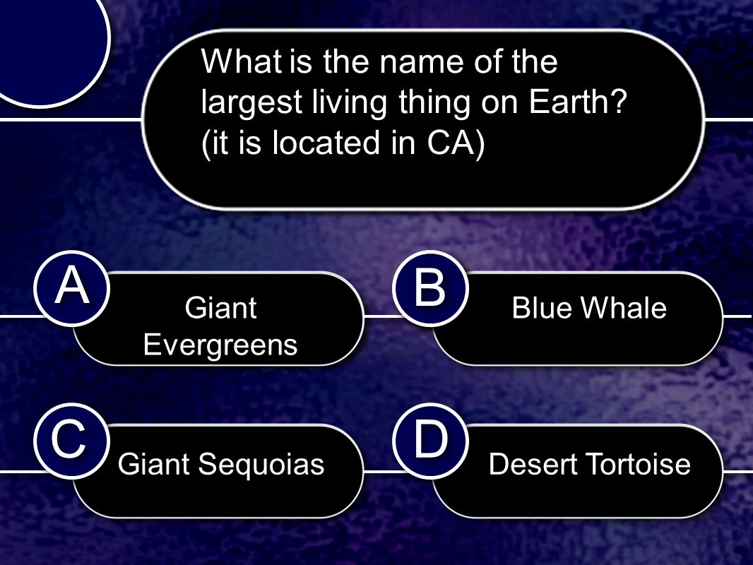 C C B B D D A A What is the name of the largest living thing on Earth.