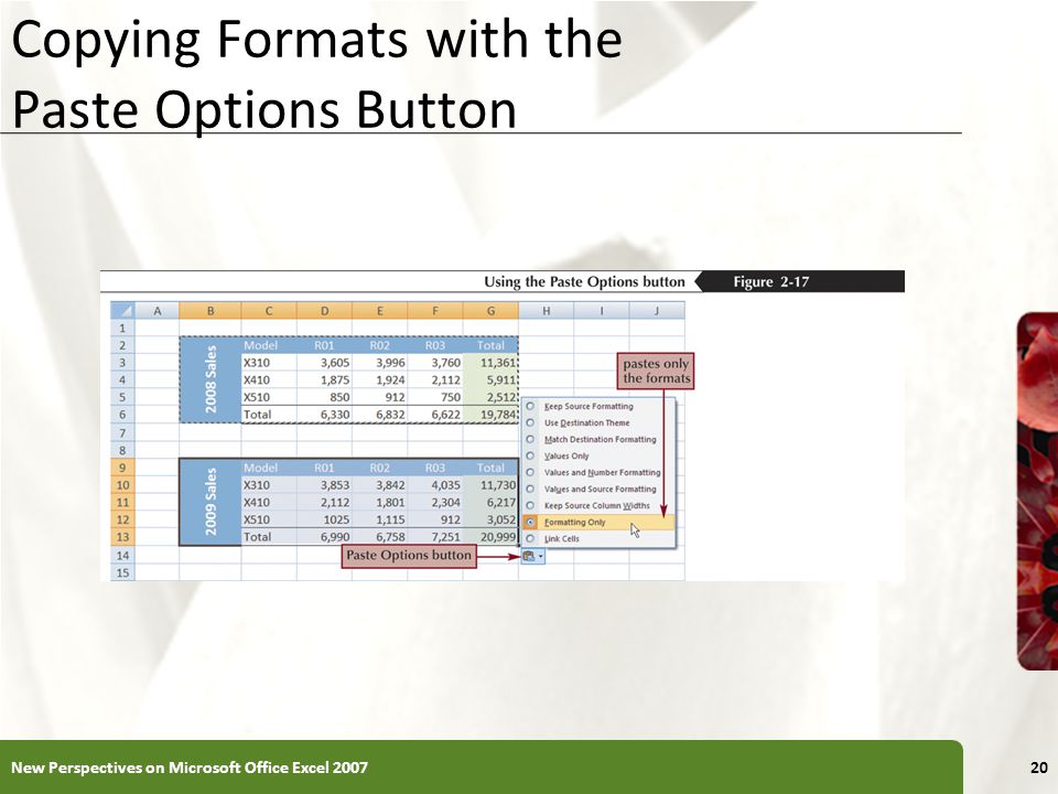 XP Copying Formats with the Paste Options Button New Perspectives on Microsoft Office Excel