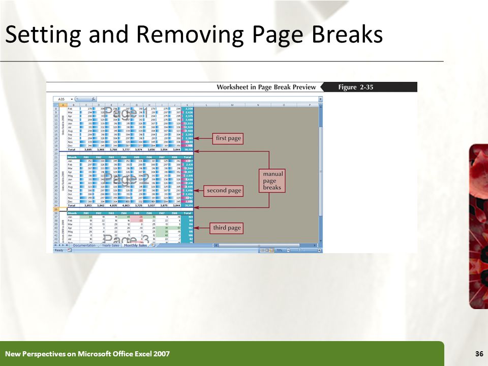 XP New Perspectives on Microsoft Office Excel Setting and Removing Page Breaks