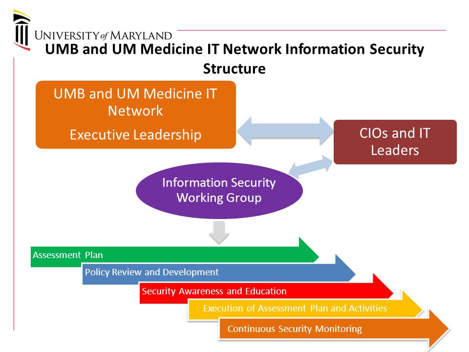 UMB and UM Medicine IT Network Information Security Structure Assessment PlanPolicy Review and DevelopmentSecurity Awareness and Education Execution of Assessment Plan and Activities Information Security Working Group UMB and UM Medicine IT Network Executive Leadership CIOs and IT Leaders Continuous Security Monitoring
