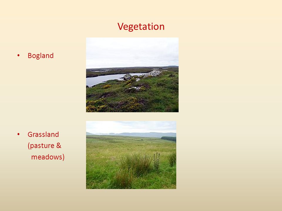 Vegetation Bogland Grassland (pasture & meadows)
