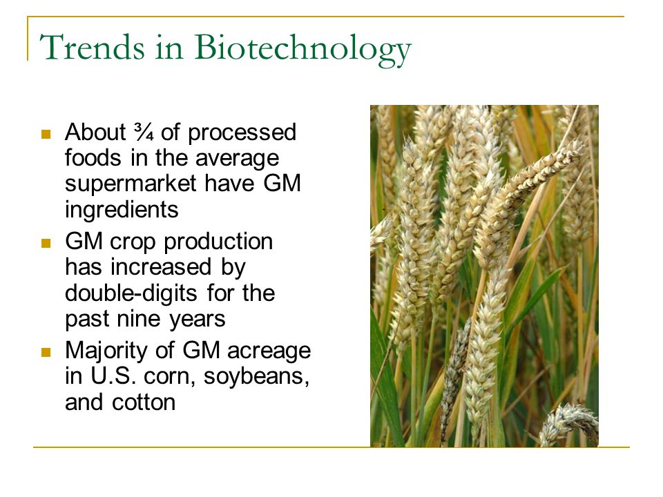 Trends in Biotechnology About ¾ of processed foods in the average supermarket have GM ingredients GM crop production has increased by double-digits for the past nine years Majority of GM acreage in U.S.