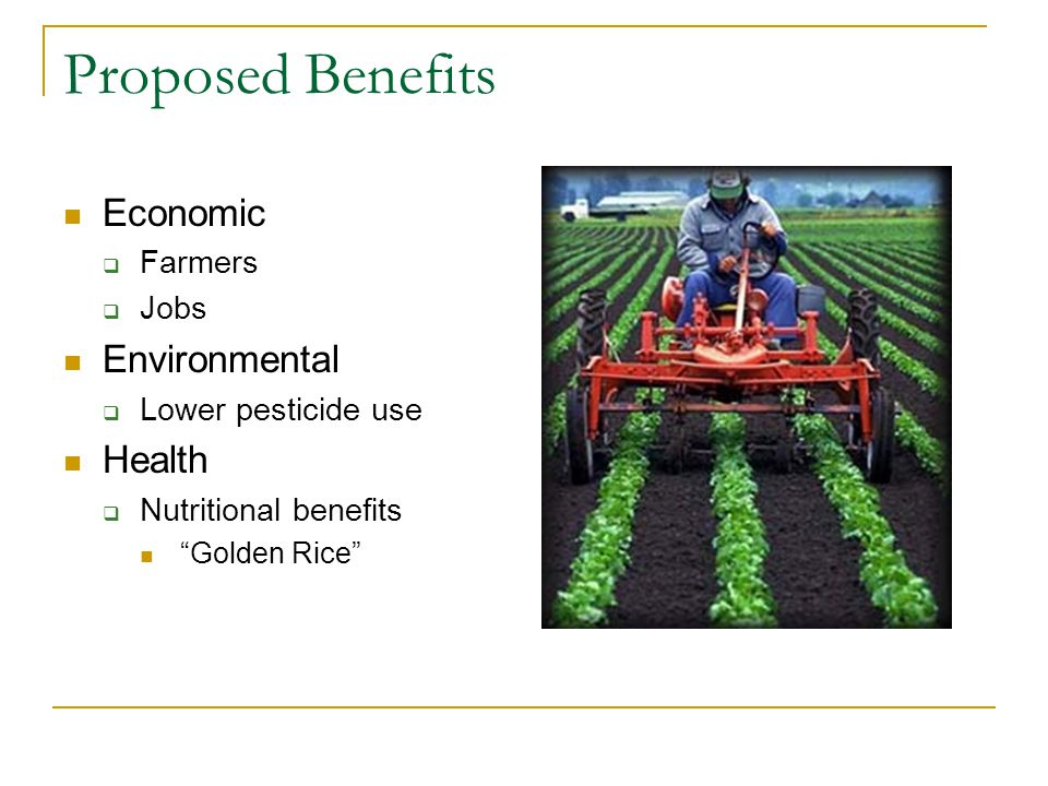 Proposed Benefits Economic  Farmers  Jobs Environmental  Lower pesticide use Health  Nutritional benefits Golden Rice