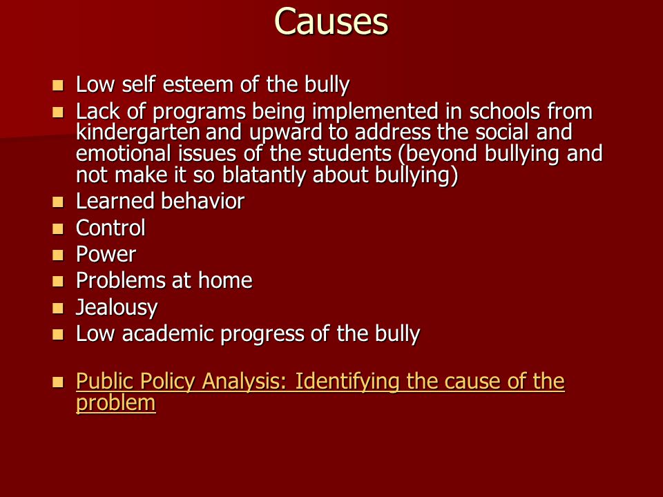 the causes of bullying behavior