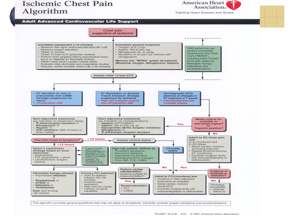 American Heart Association BLS ACLS PALS Update Ppt Video