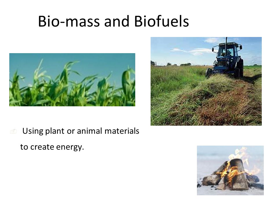 Bio-mass and Biofuels  Using plant or animal materials to create energy.