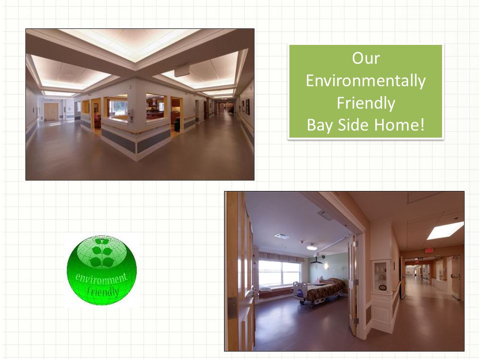 Our Environmentally Friendly Bay Side Home! Our Environmentally Friendly Bay Side Home!