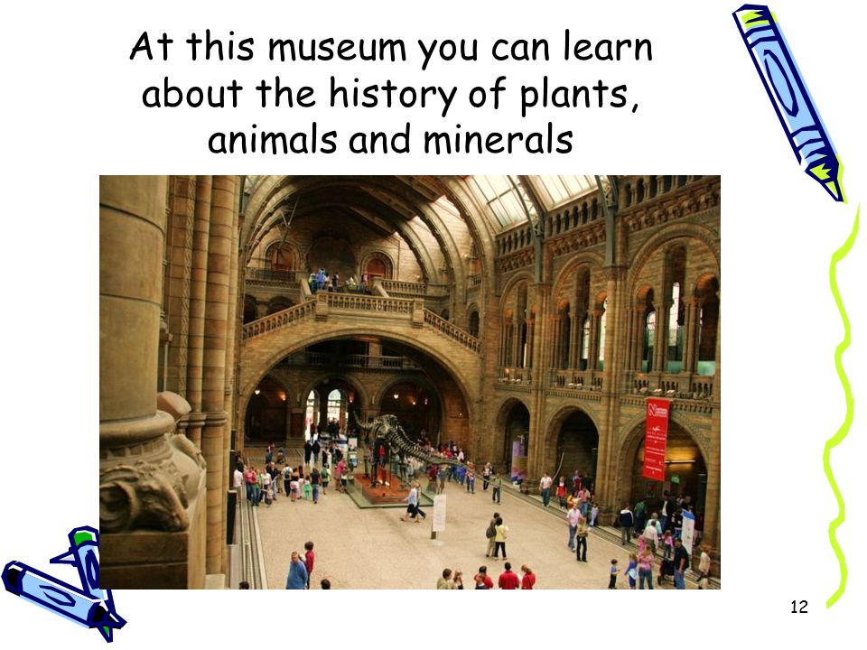 12 At this museum you can learn about the history of plants, animals and minerals