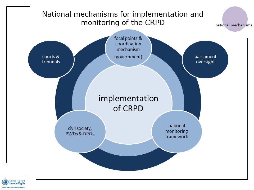 National mechanisms for implementation and monitoring of the CRPD national mechanisms implementation of CRPD focal points & coordination mechanism (government) national monitoring framework civil society, PWDs & DPOs parliament oversight courts & tribunals