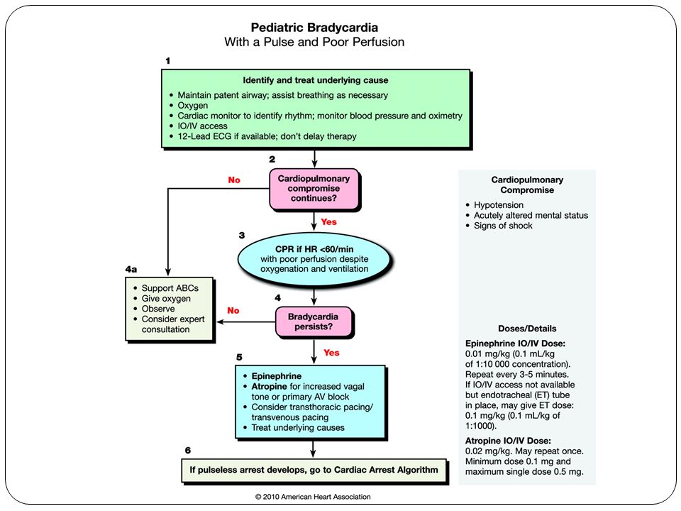 Pediatric Advanced Life Support Ppt Download