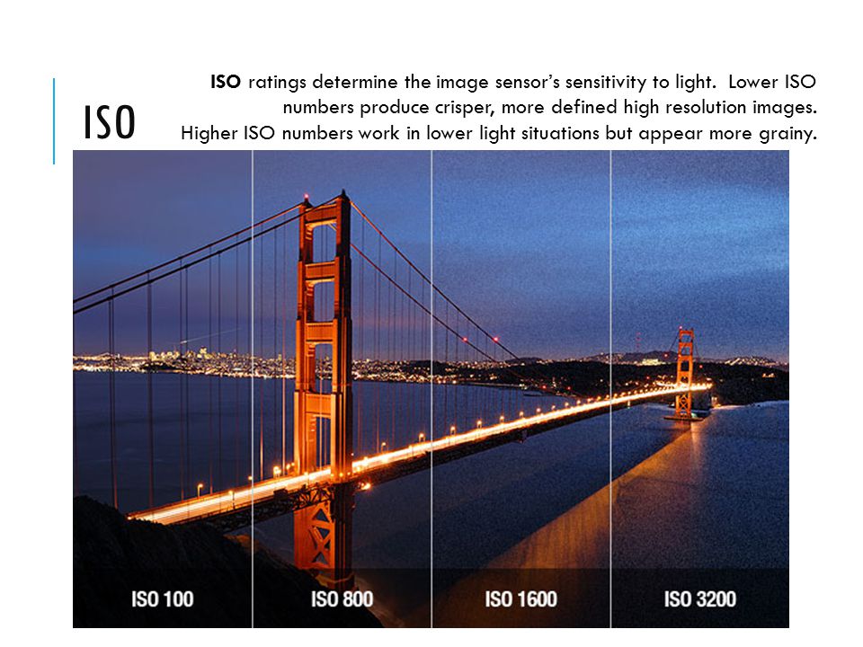 ISO ISO ratings determine the image sensor’s sensitivity to light.