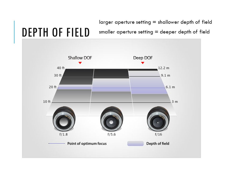 DEPTH OF FIELD larger aperture setting = shallower depth of field smaller aperture setting = deeper depth of field