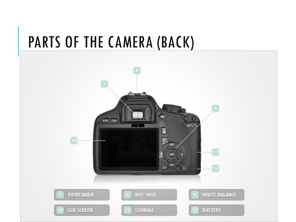 PARTS OF THE CAMERA (BACK)