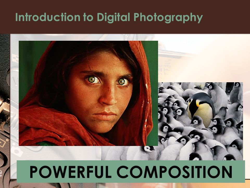Introduction to Digital Photography POWERFUL COMPOSITION