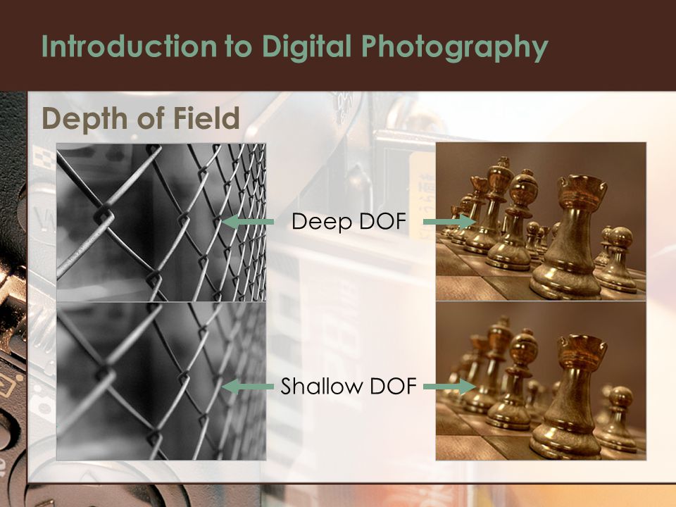 Introduction to Digital Photography Depth of Field Deep DOF Shallow DOF