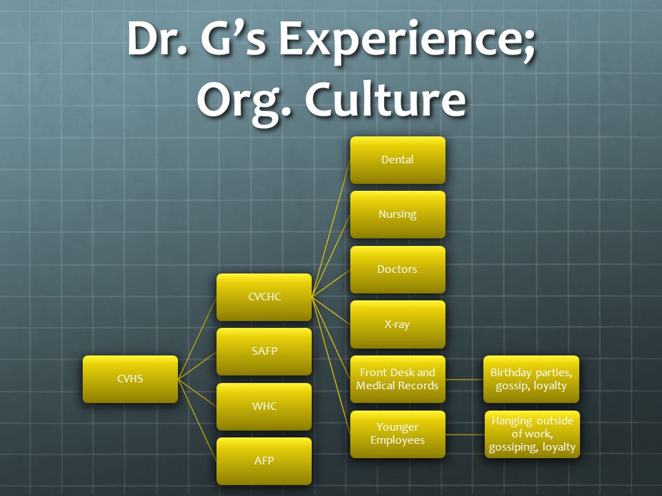 Dr. G’s Experience; Org.