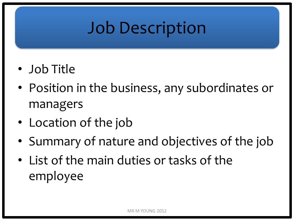 Job Description Job Title Position in the business, any subordinates or managers Location of the job Summary of nature and objectives of the job List of the main duties or tasks of the employee MR M YOUNG 2012