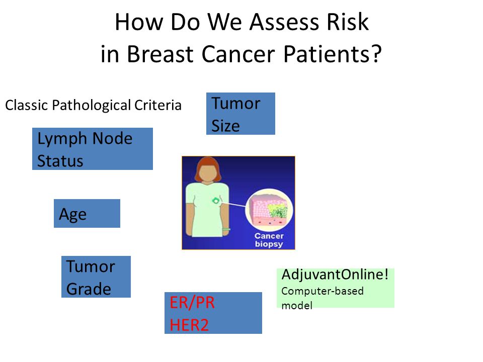 How Do We Assess Risk in Breast Cancer Patients.