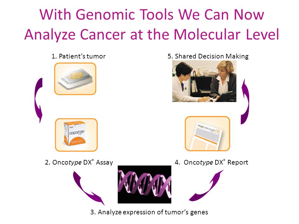 With Genomic Tools We Can Now Analyze Cancer at the Molecular Level 1.