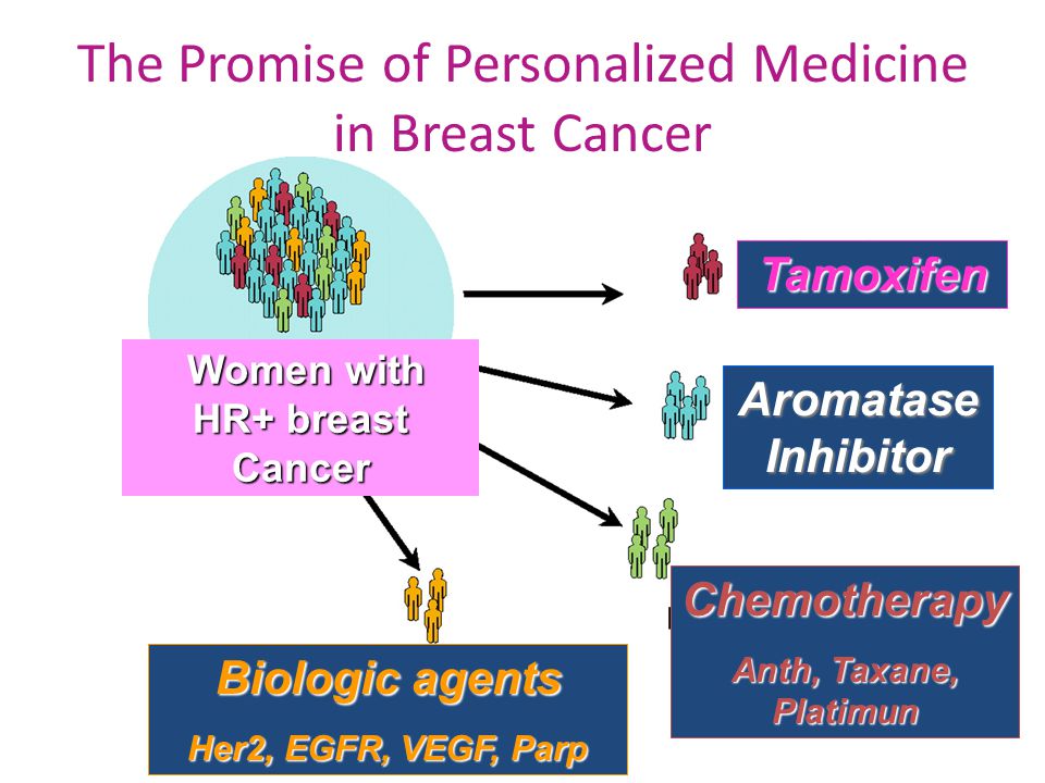 Tamoxifen Chemotherapy Anth, Taxane, Platimun Women with HR+ breast Cancer Women with HR+ breast Cancer Aromatase Inhibitor Biologic agents Her2, EGFR, VEGF, Parp The Promise of Personalized Medicine in Breast Cancer